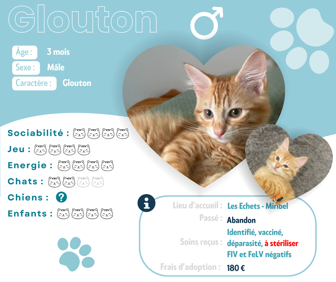 Visuel de présentation de Gloria