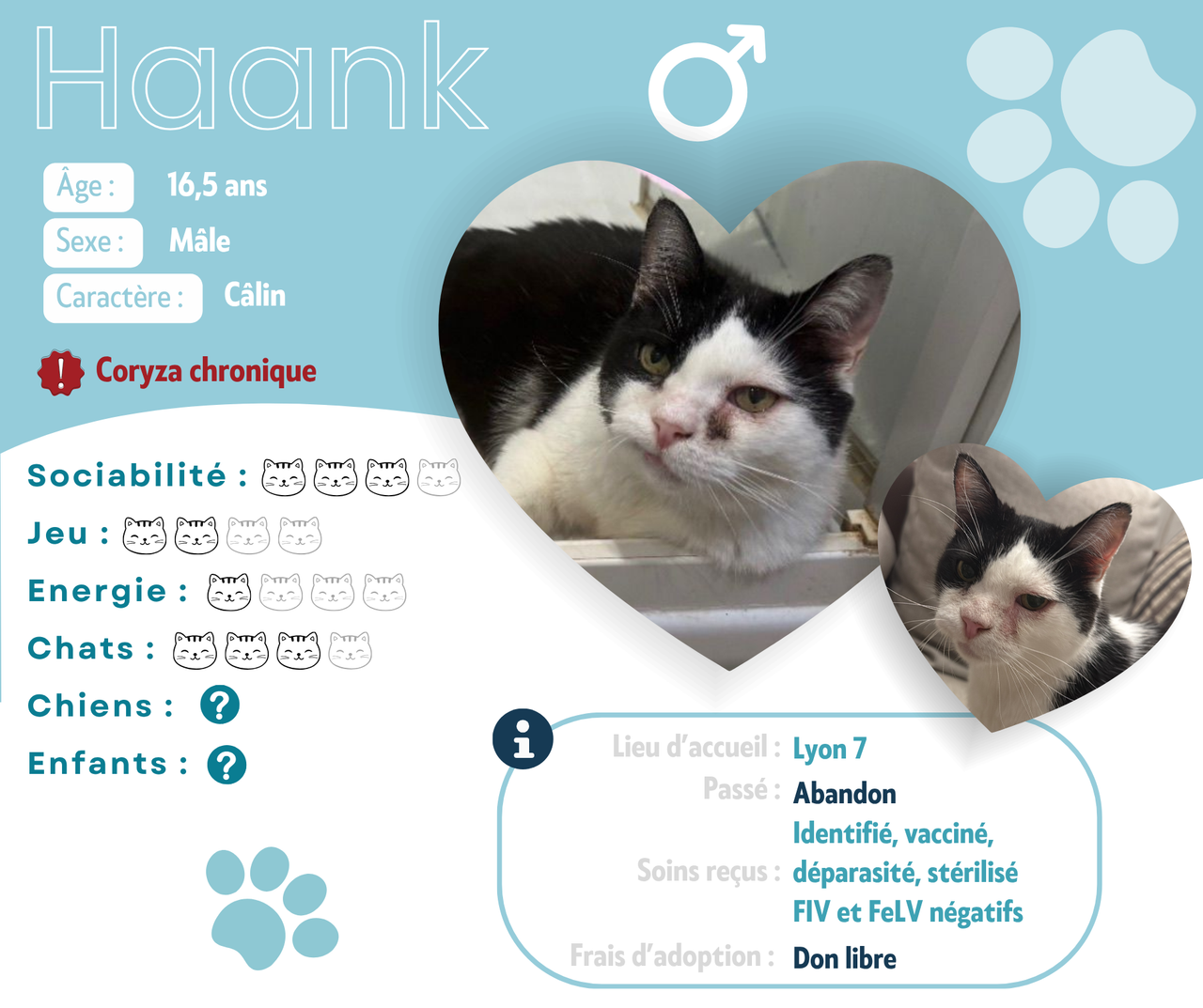 Visuel de présentation de Haank