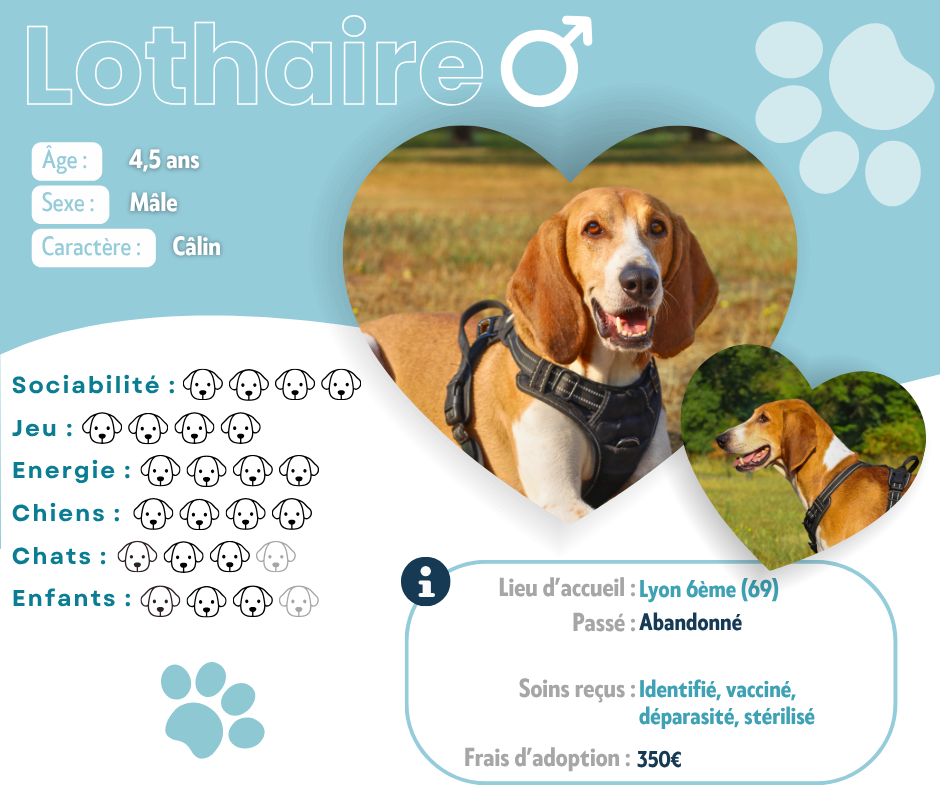 Visuel de présentation de Lothaire