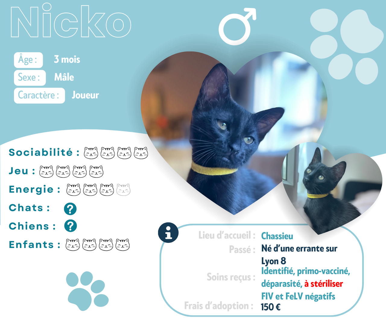 Visuel de présentation de Nicko