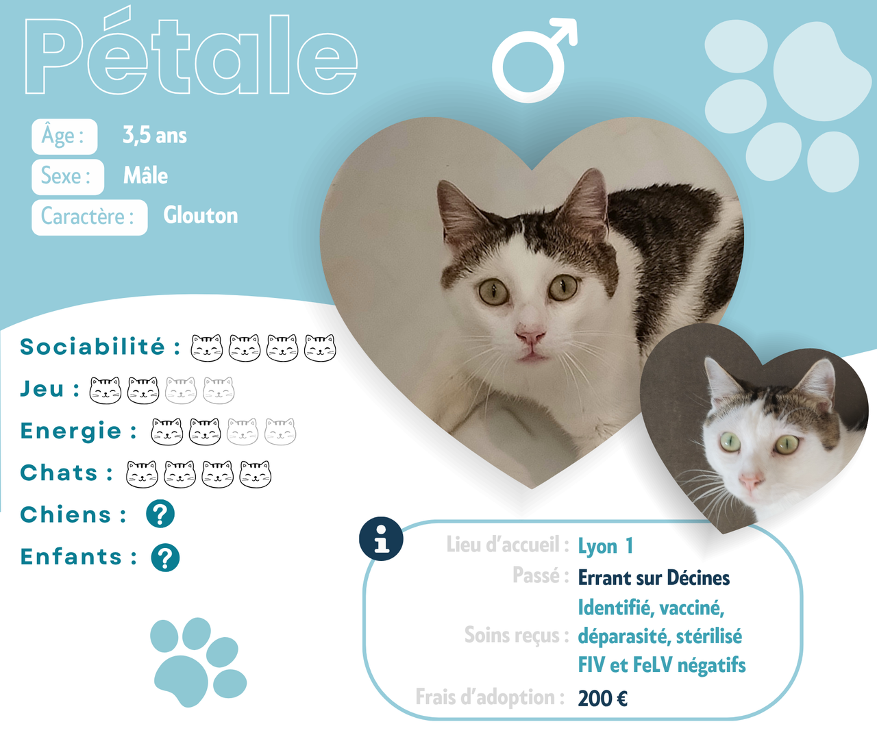 Visuel de présentation de Pétale