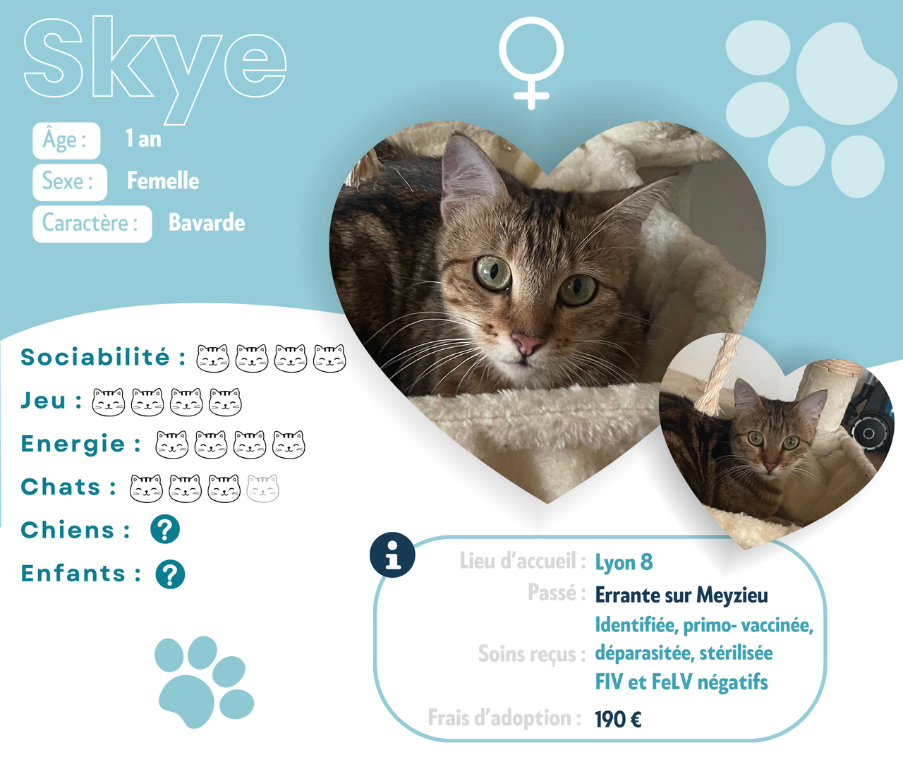 Visuel de présentation de Skye