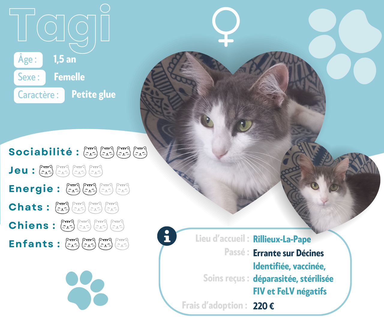 Visuel de présentation de Tagi