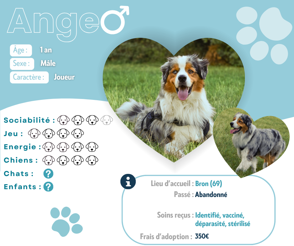 Visuel de présentation de Ange