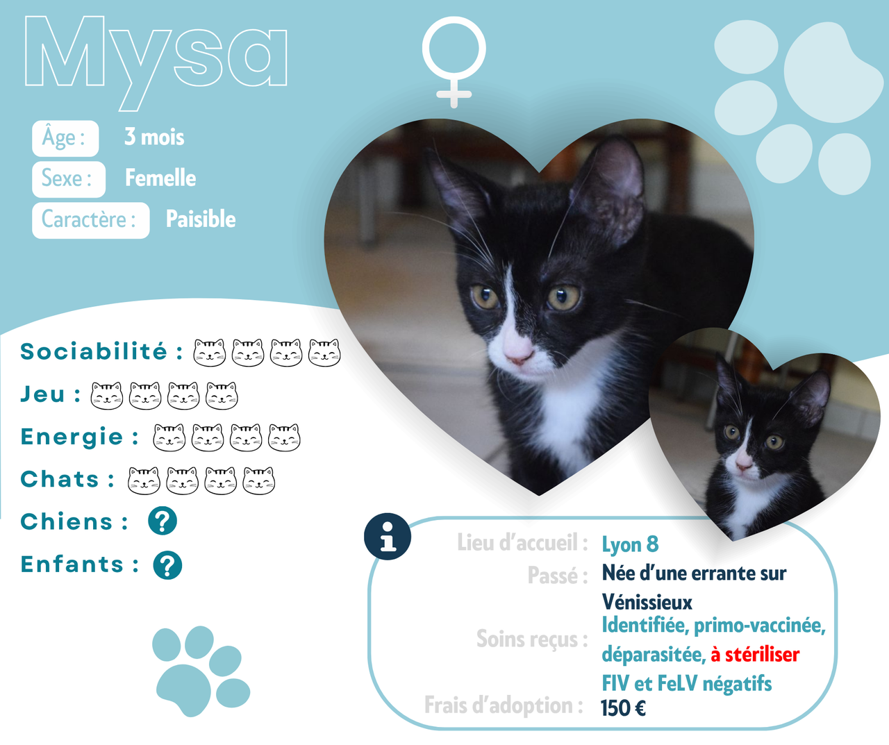 Visuel de présentation de Mysa