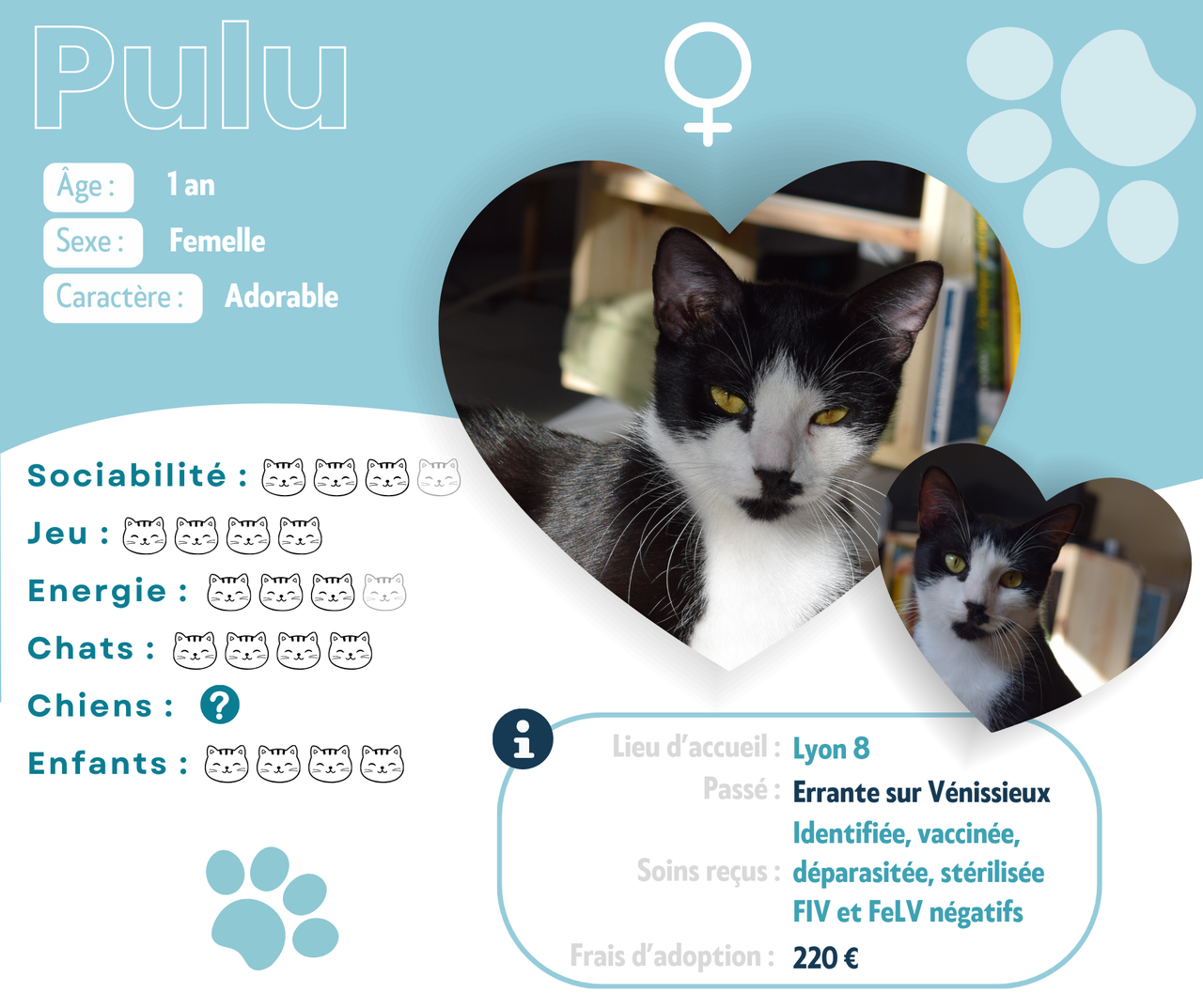 Visuel de présentation de Pulu