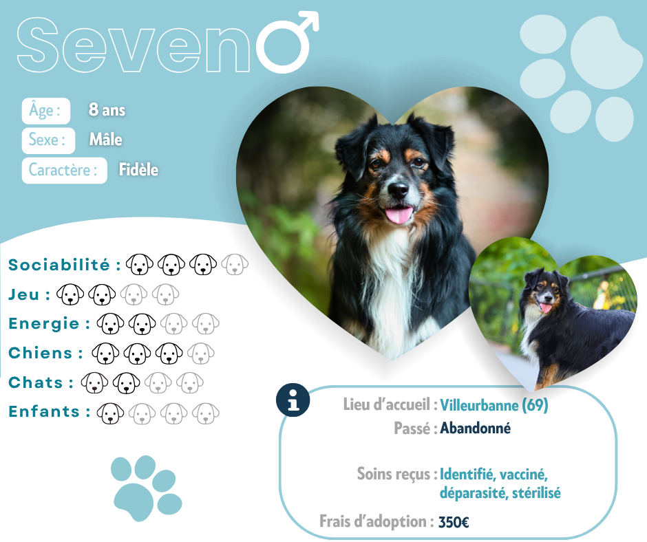 Visuel de présentation de Seven