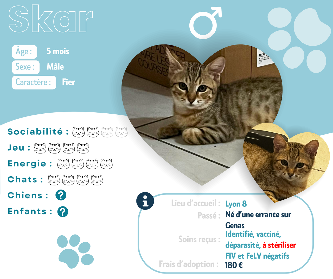 Visuel de présentation de Skar