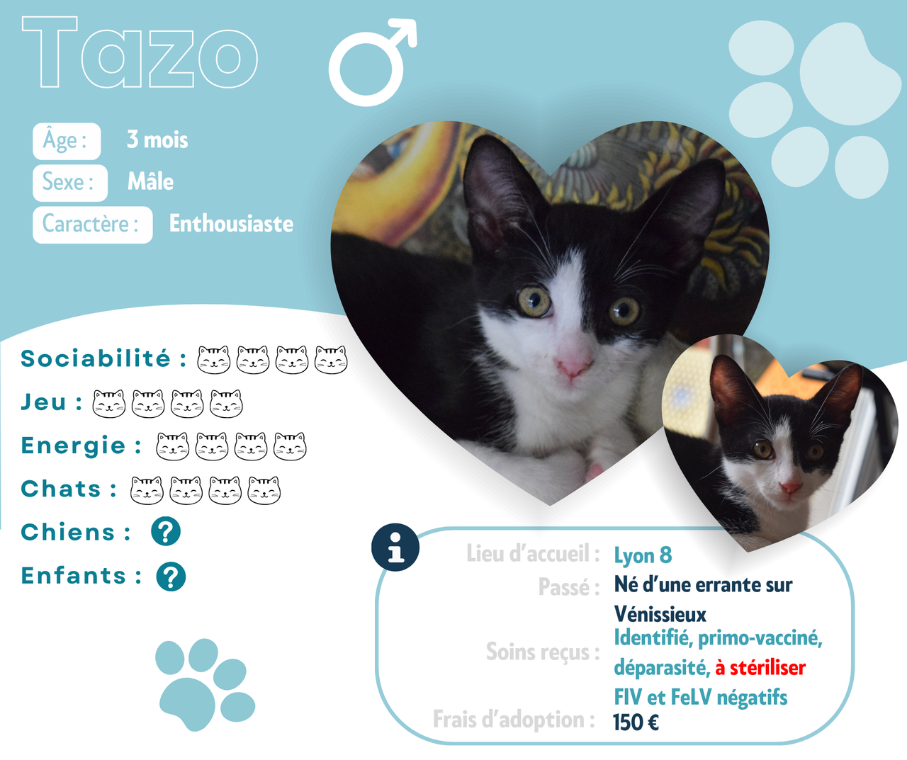 Visuel de présentation de Pazo