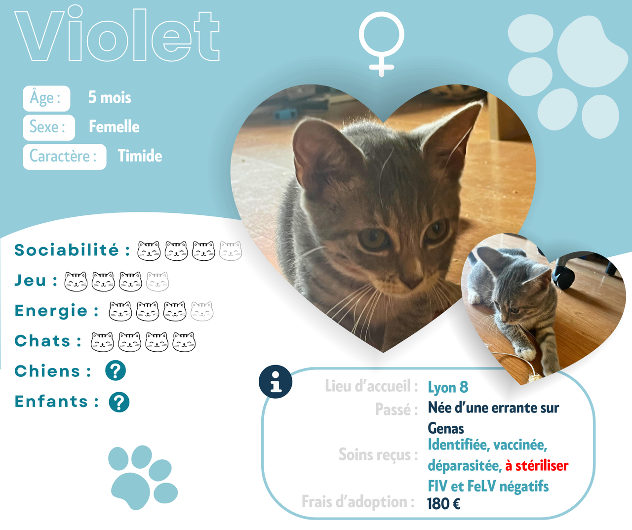 Visuel de présentation de Violet