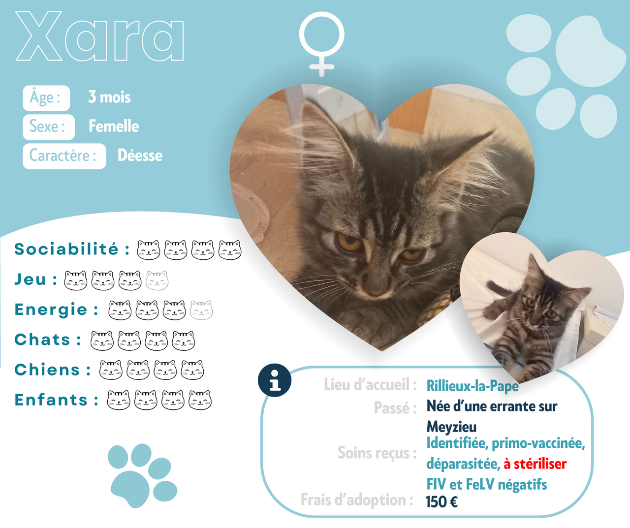 Visuel de présentation de Xara