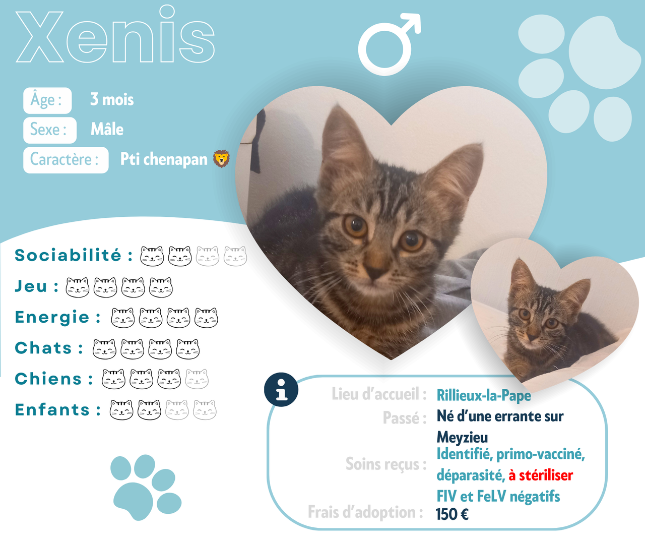 Visuel de présentation de Xenis