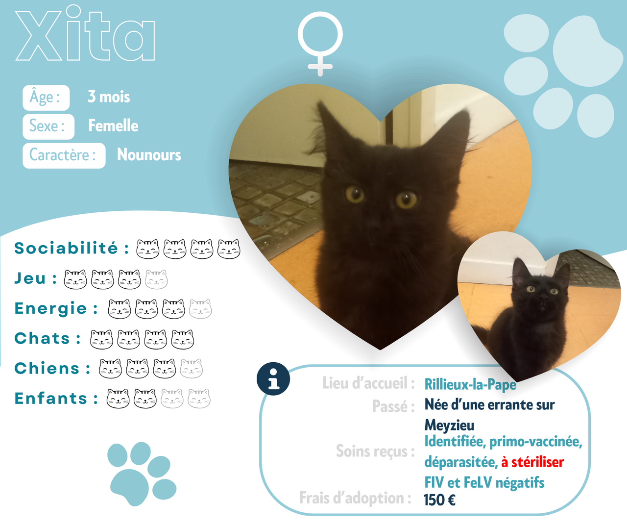 Visuel de présentation de Xita