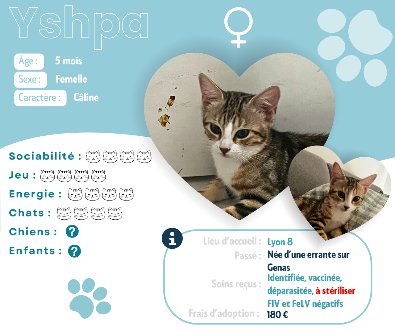 Visuel de présentation d'Yshpa