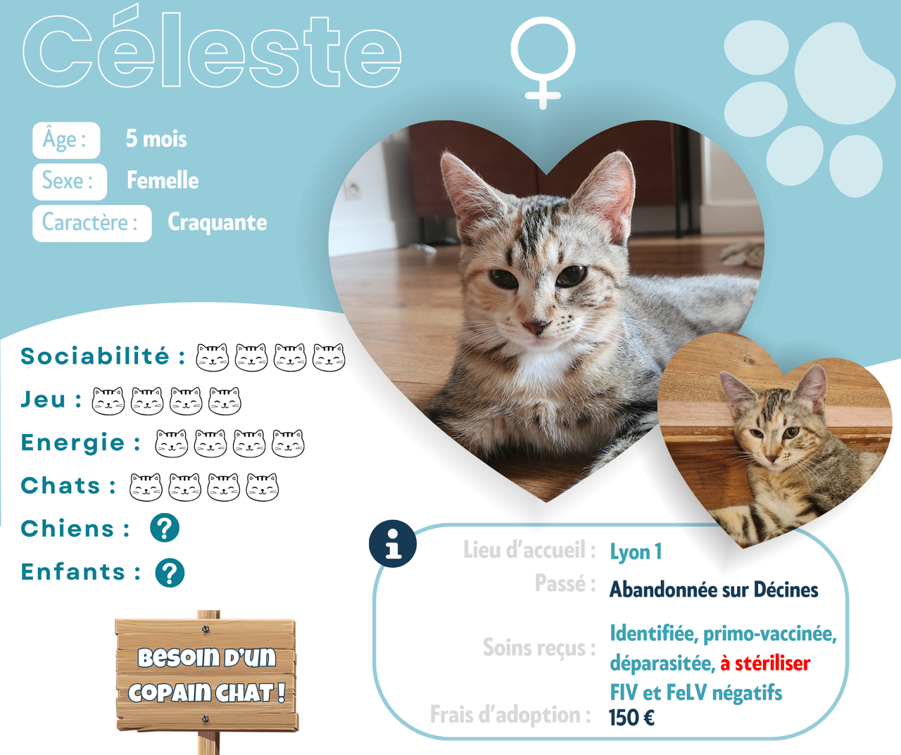 Visuel de présentation de Céleste
