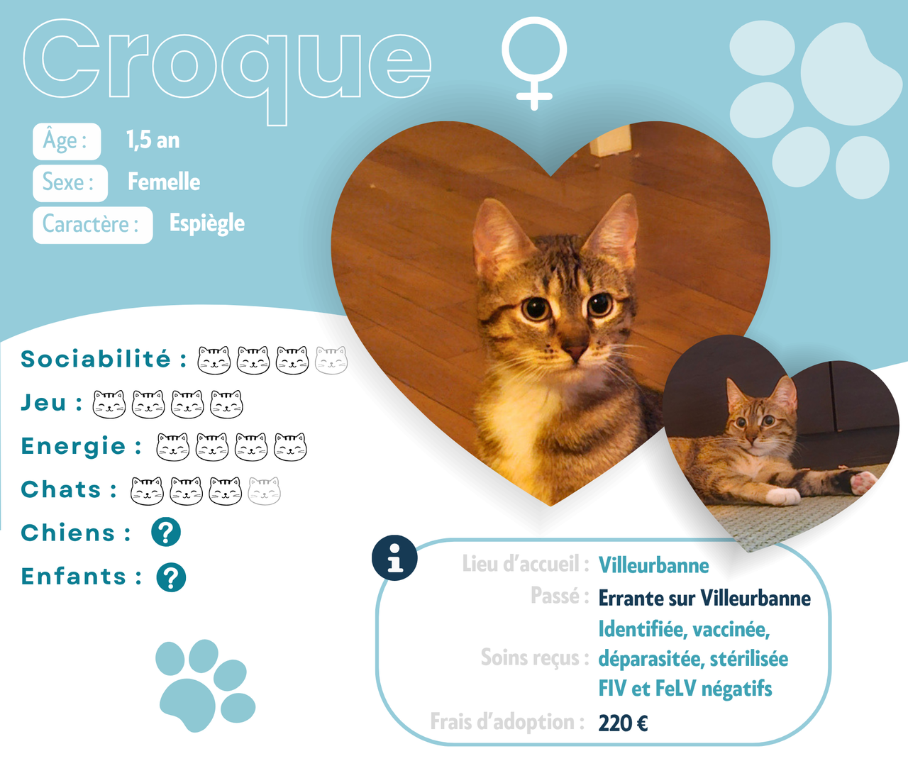 Visuel de présentation de Croque