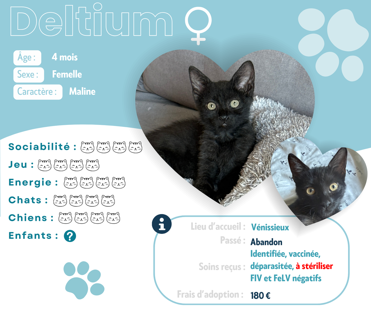 Visuel de présentation de Deltium