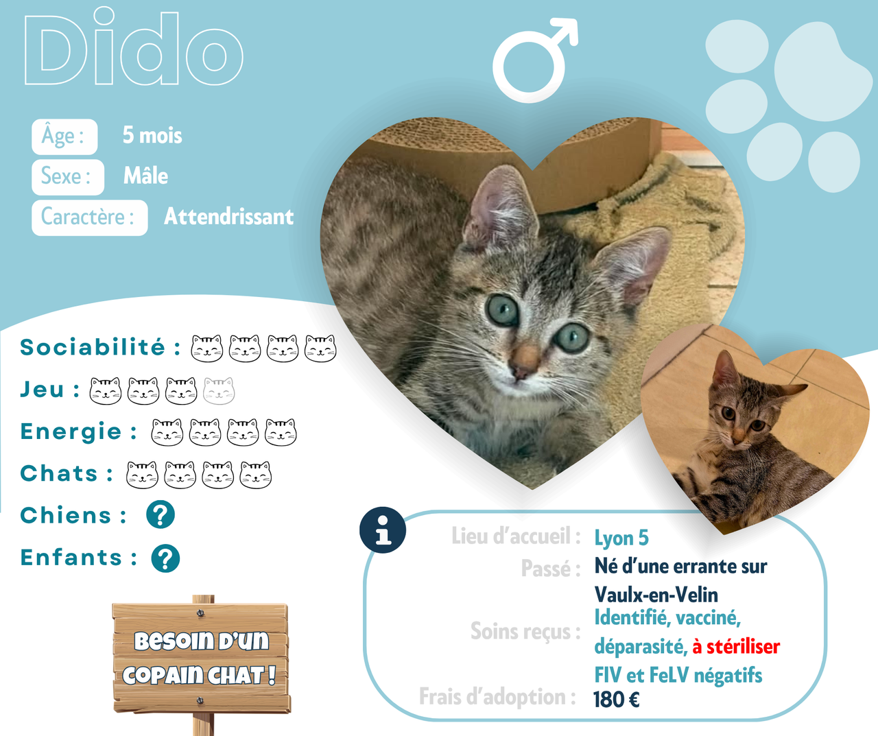 Visuel de présentation de Dido