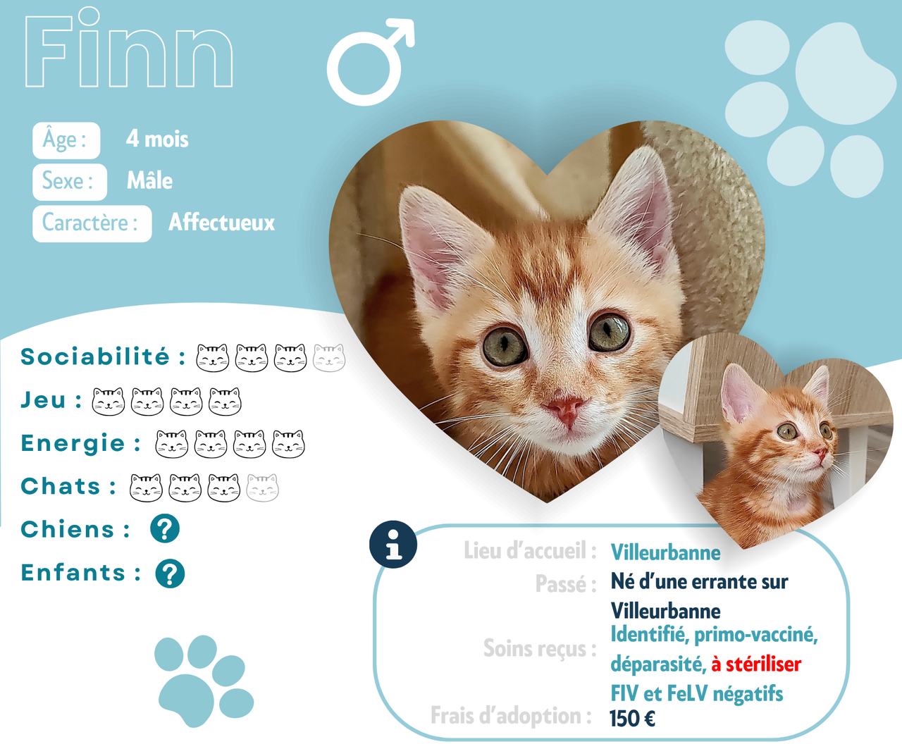 Visuel de présentation de Finn