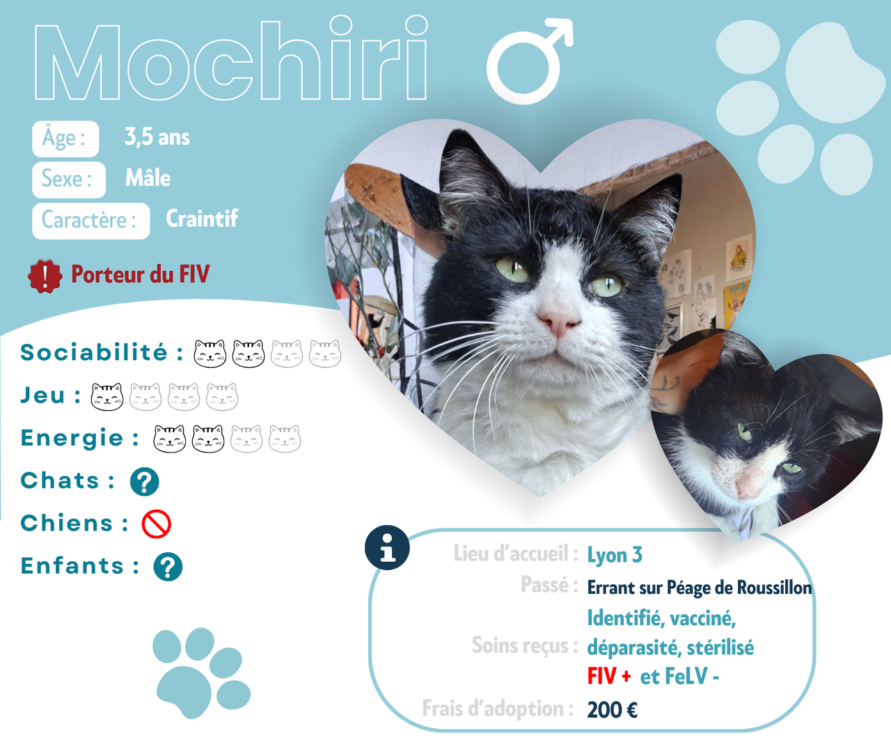 Visuel de présentation de Mochiri