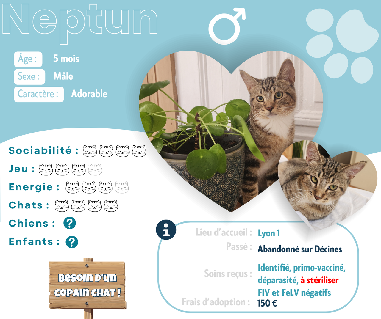 Visuel de présentation de Neptun