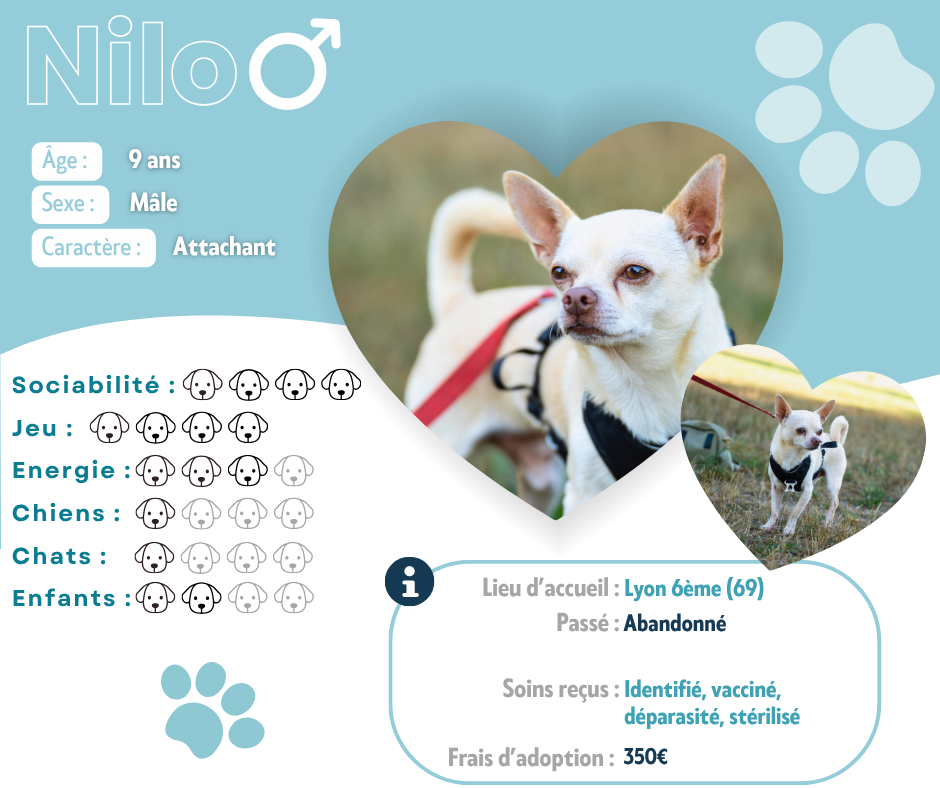 Visuel de présentation de Nilo