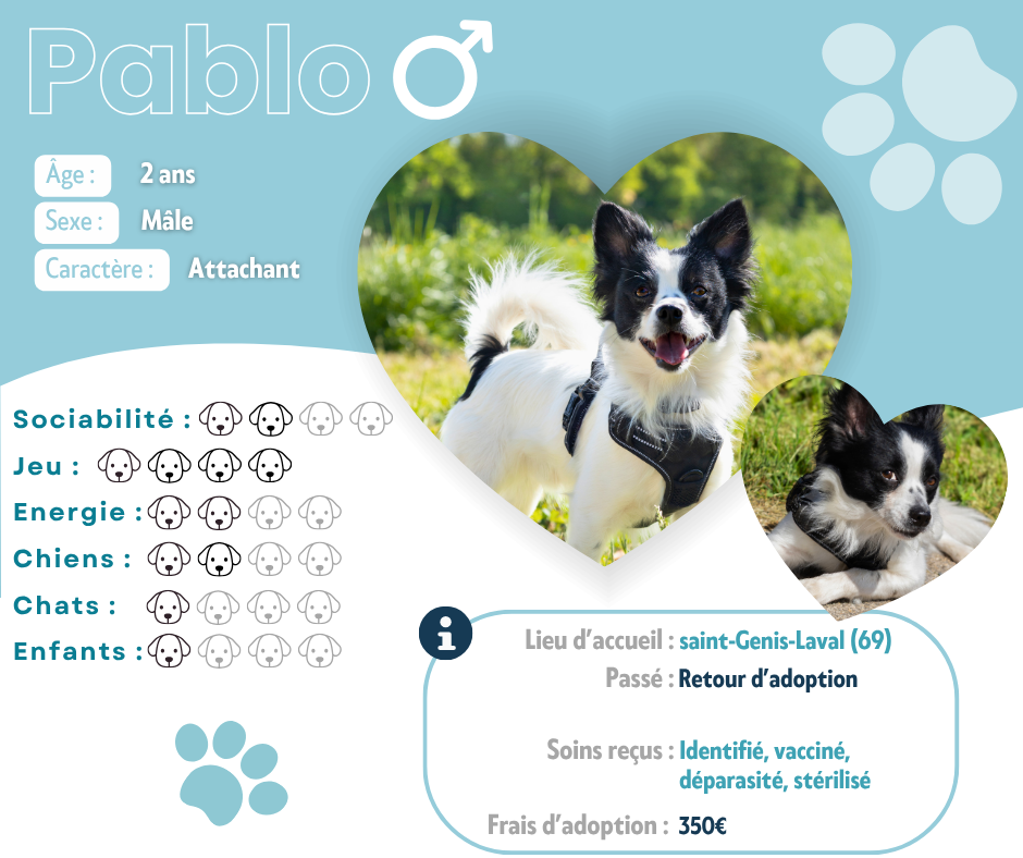 Visuel de présentation de Pablo