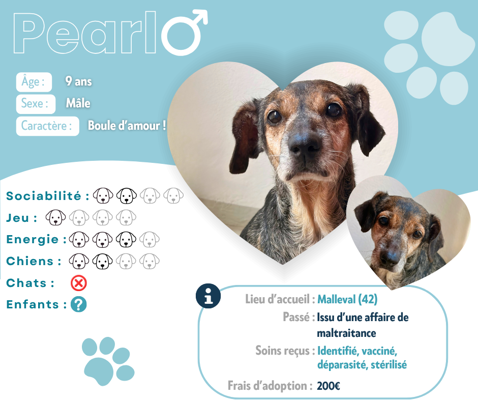 Visuel de présentation de Pearl