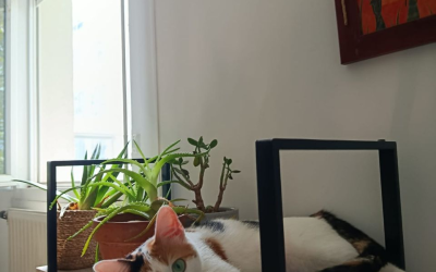 Plumette – 2,5 ans – ♀︎