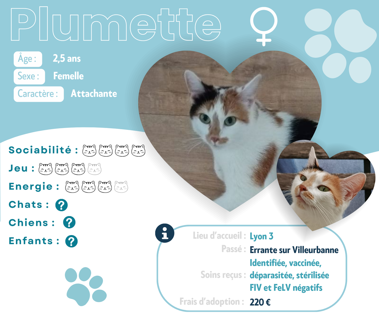 Visuel de présentation de Plumette