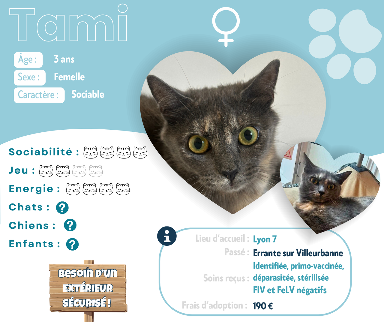 Visuel de présentation de Tami