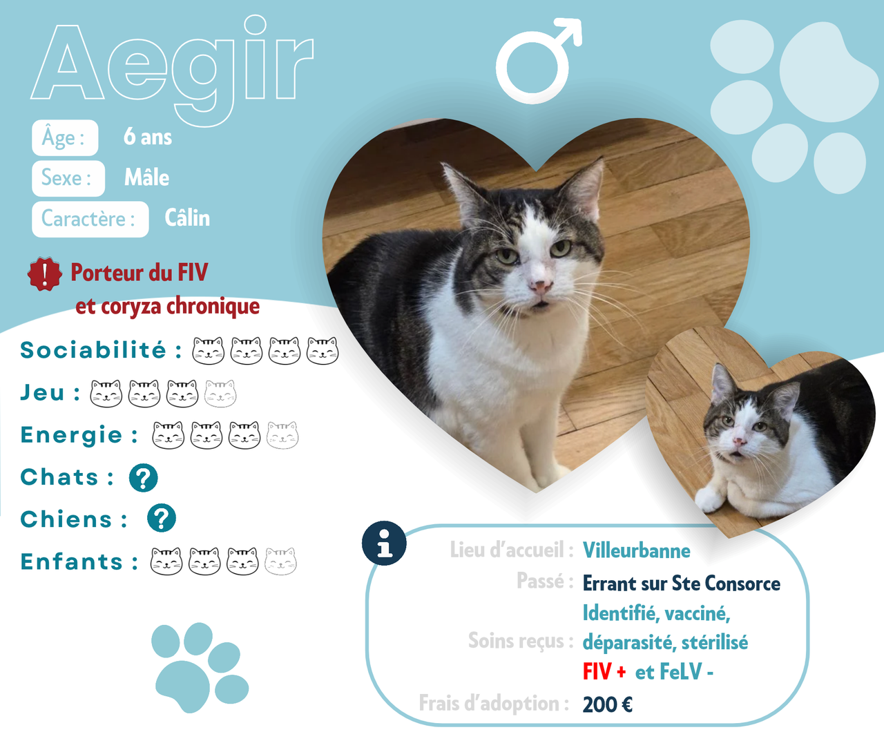 Visuel de présentation de Aegir