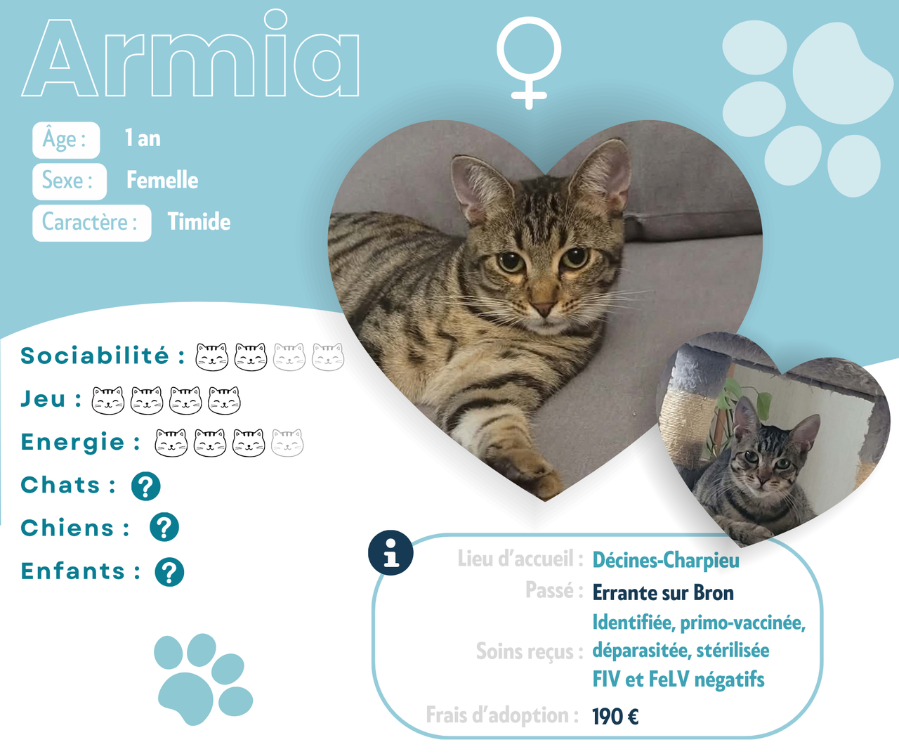 Visuel de présentation d'Armia