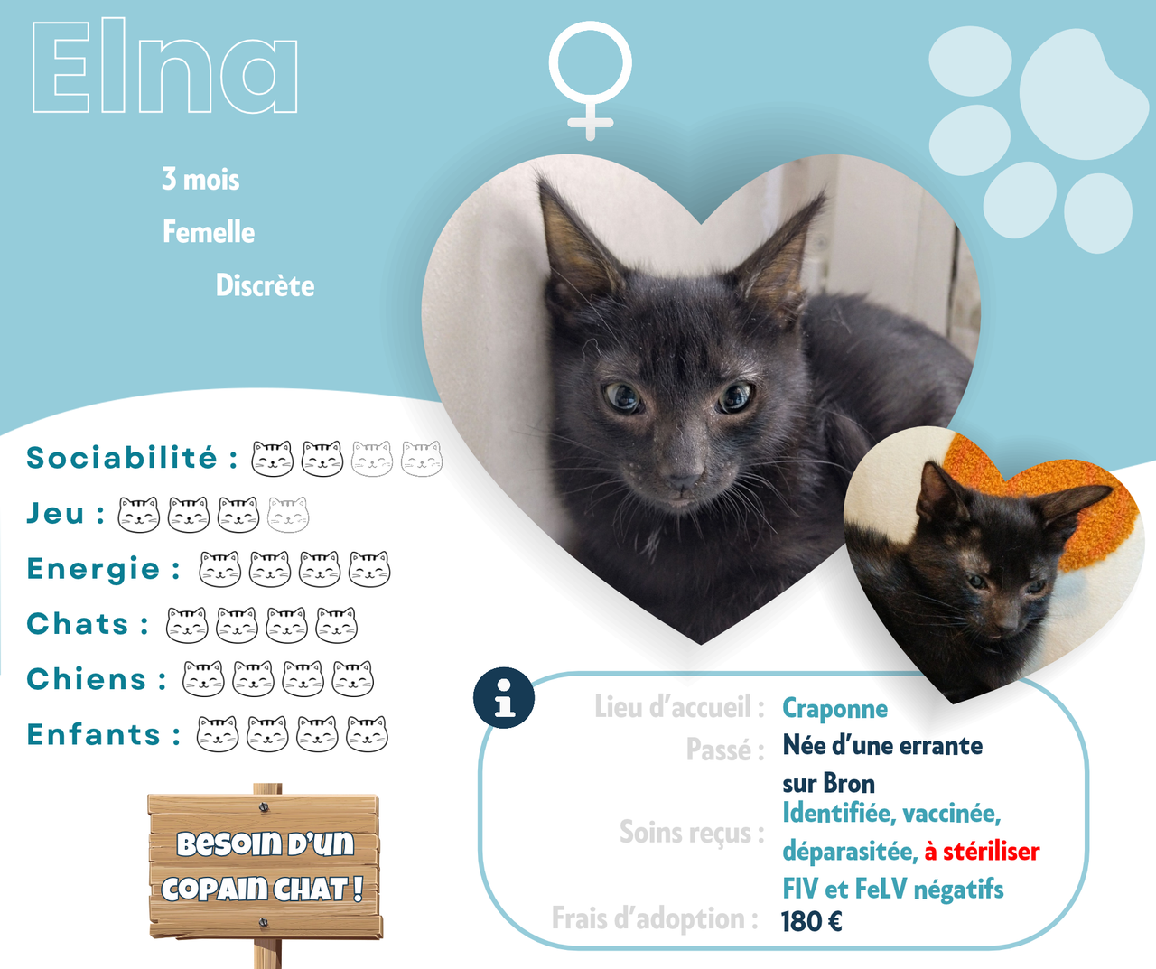 Visuel de présentation de Elna