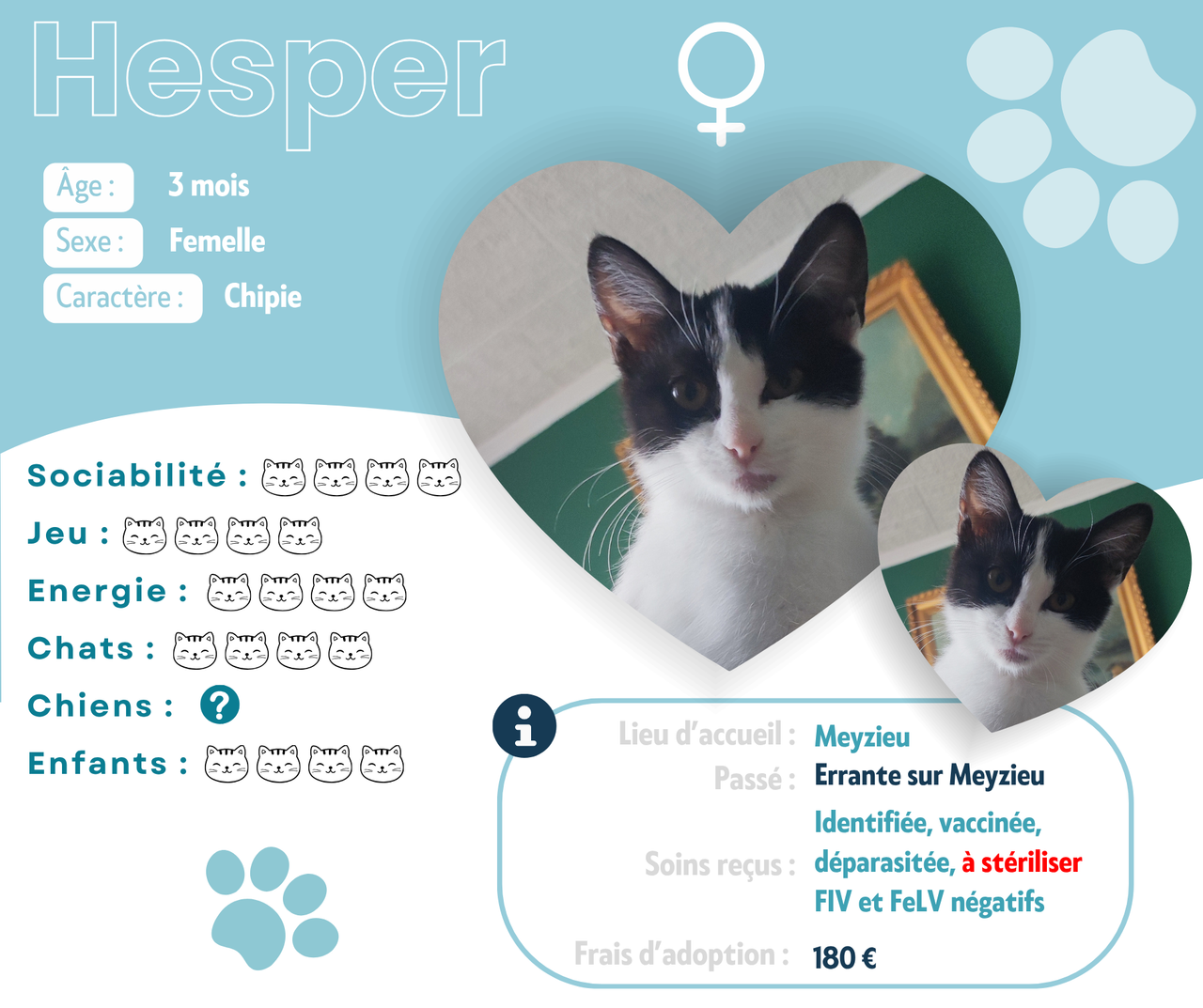 Visuel de présentation de Hesper