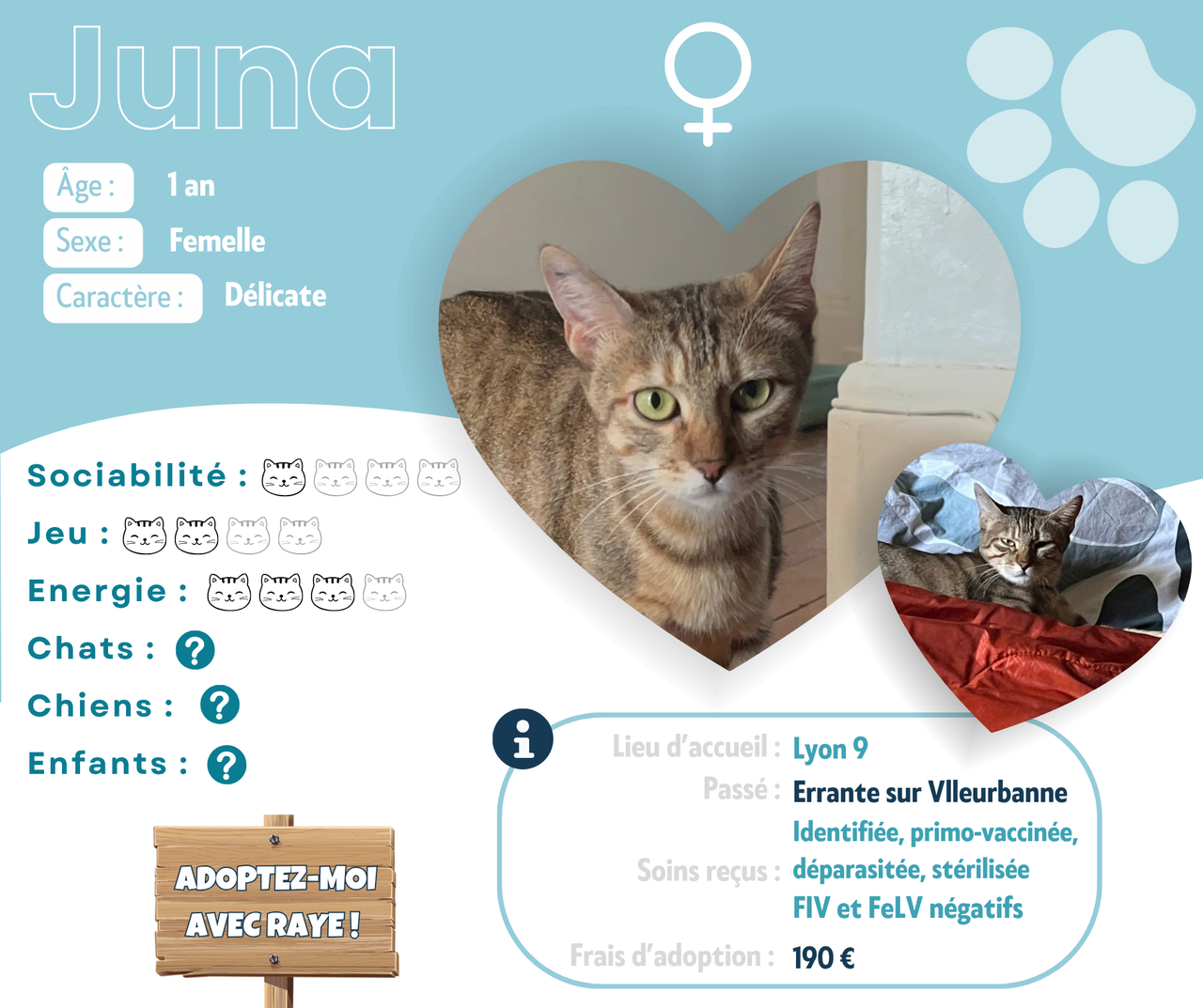 Visuel de présentation de Juna