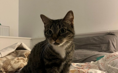 Krema – 4 ans – ♀
