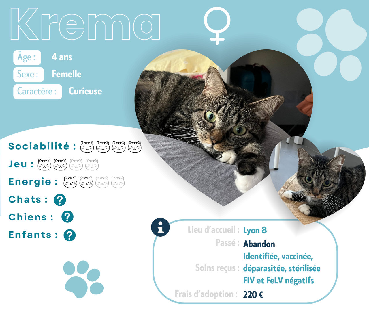 Visuel de présentation de Krema