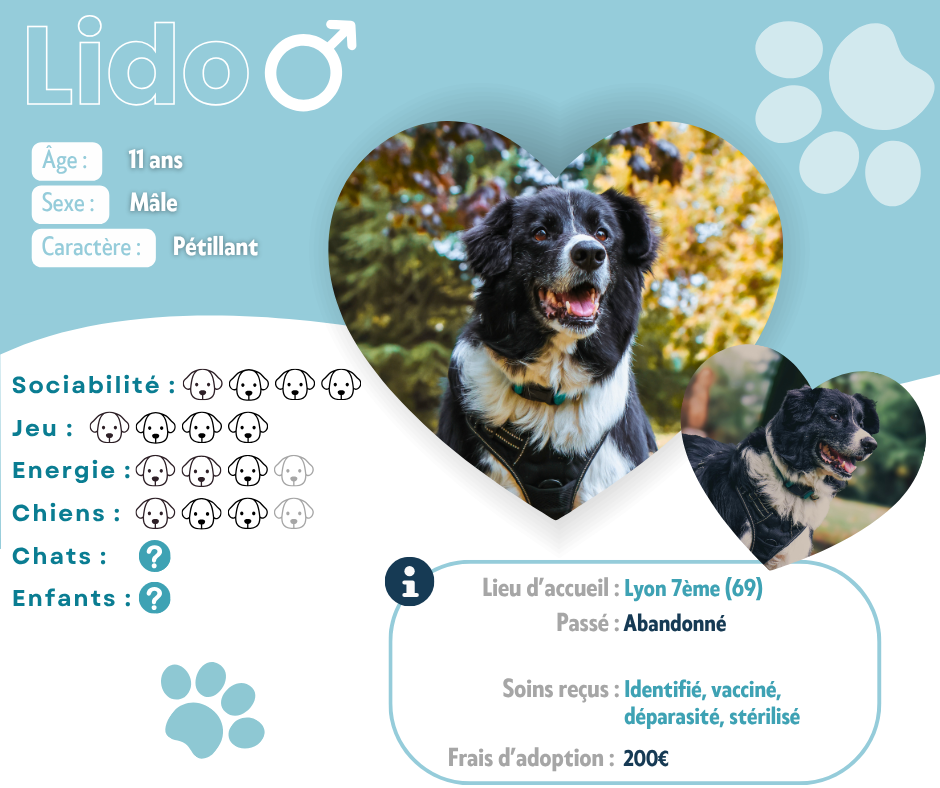 Visuel de présentation de Lido