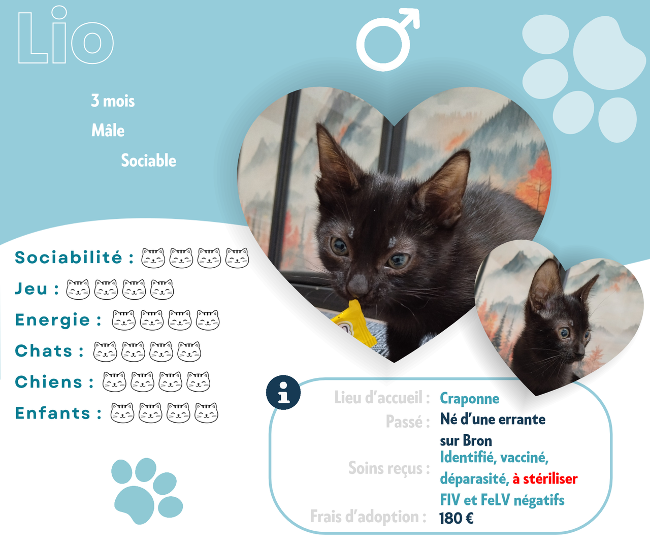 Visuel de présentation de Lio