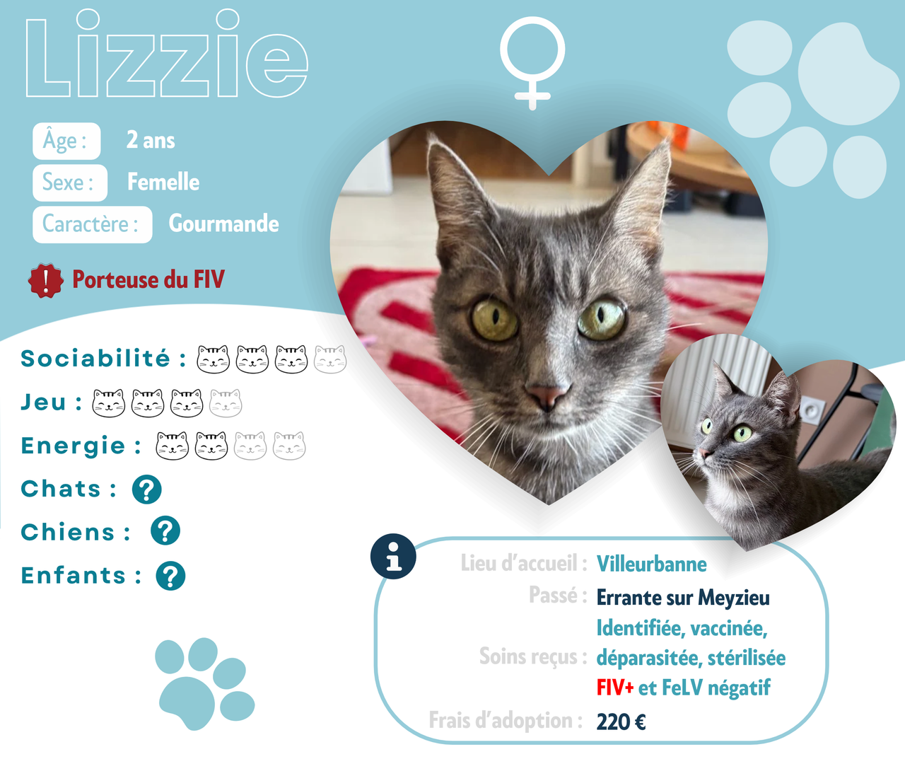 Visuel de présentation de Lizzie