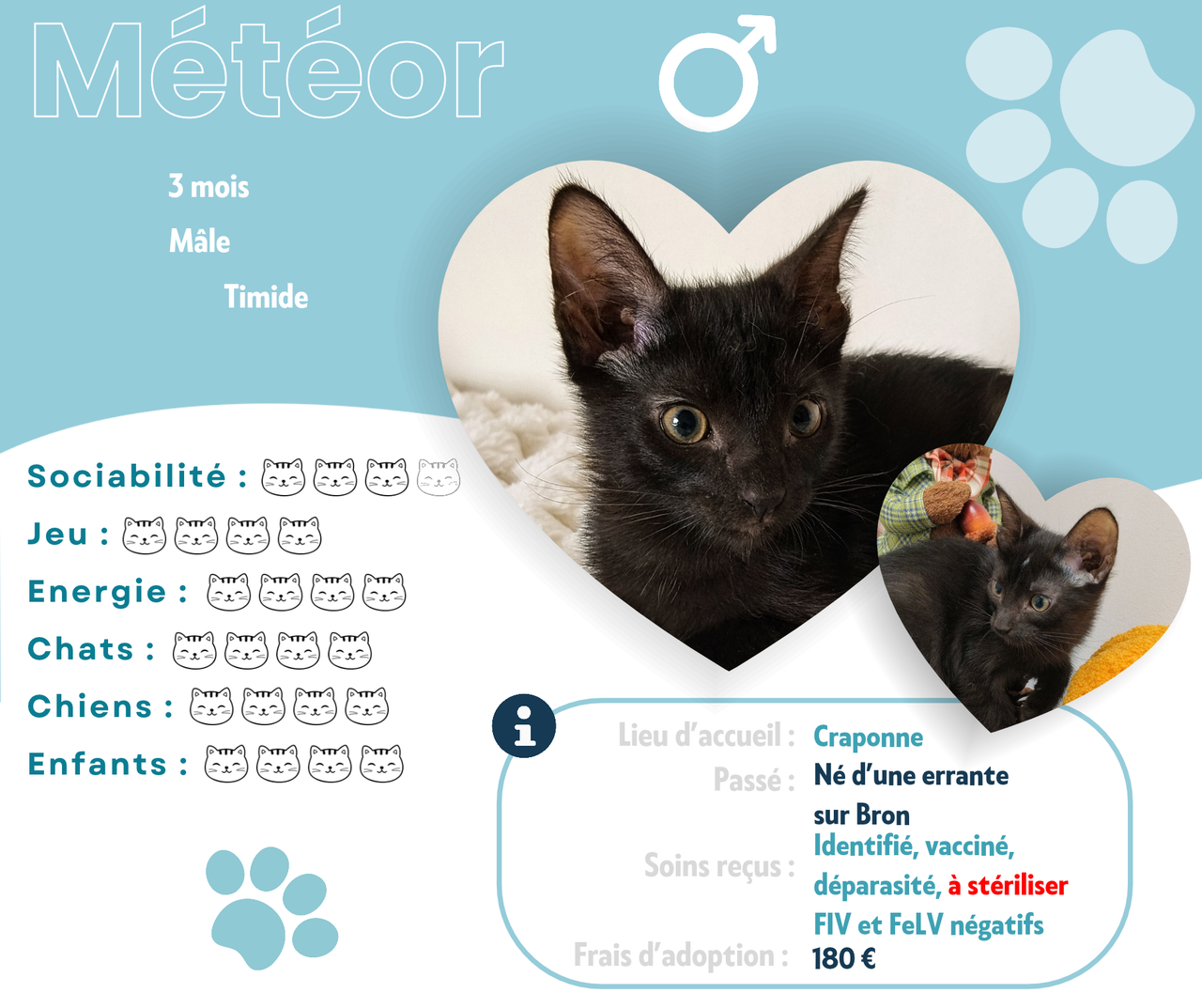 Visuel de présentation de Météor