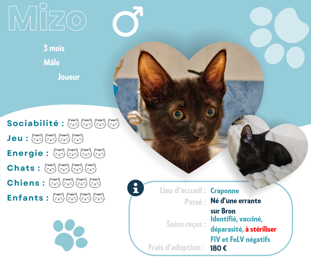 Visuel de présentation de Mizo
