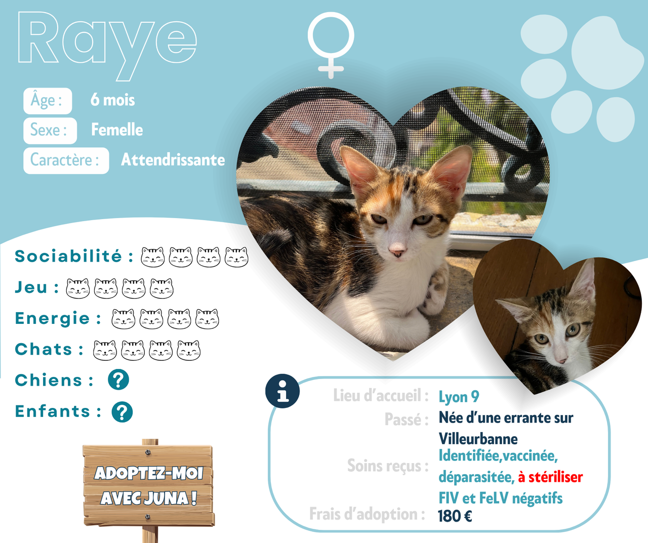 Visuel de présentation de Raye