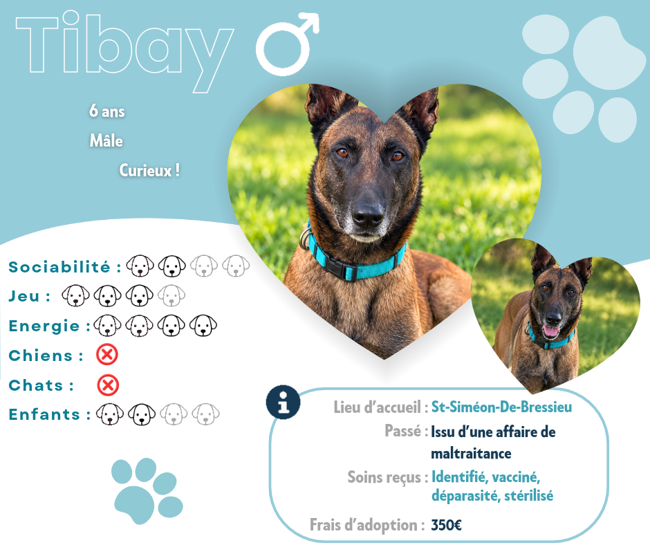 Visuel de présentation de Tibay